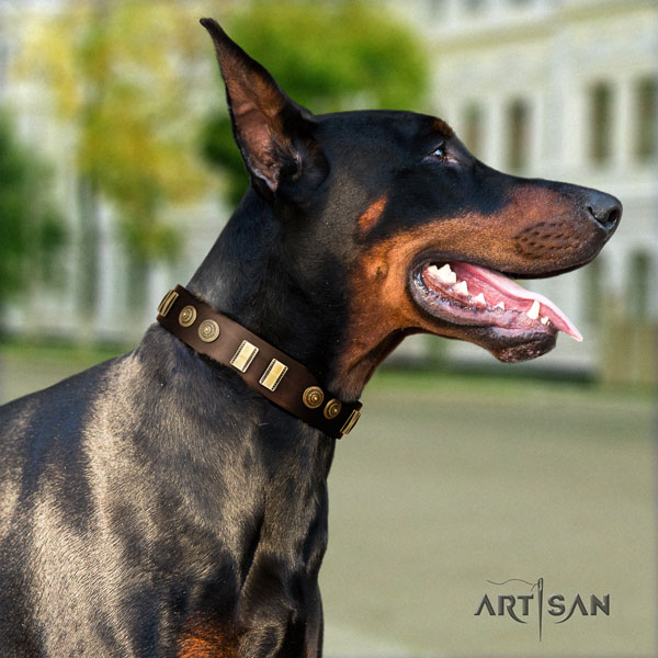 Doberman stunning genuine leather collar with adornments for your doggie