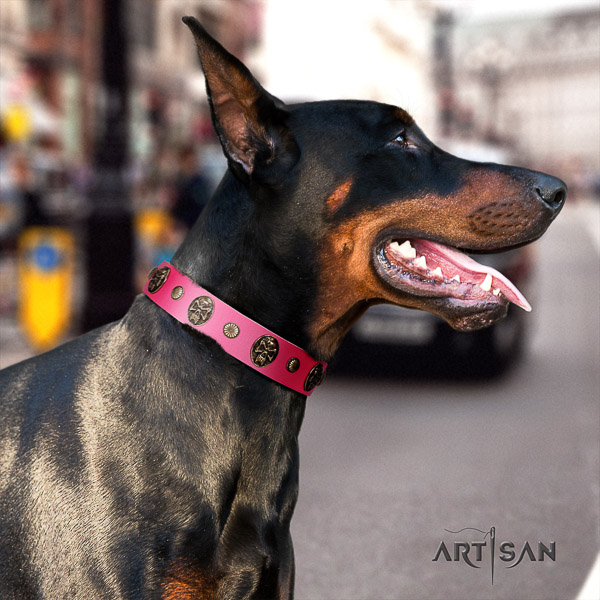 Doberman everyday walking leather collar with adornments for your dog