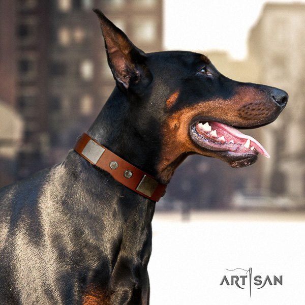 Doberman fancy walking genuine leather collar with adornments for your pet