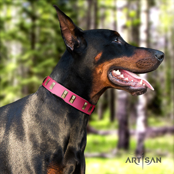 Doberman fancy walking natural leather collar with embellishments for your dog