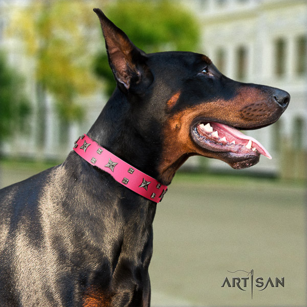 Doberman daily use genuine leather collar with stunning adornments for your doggie