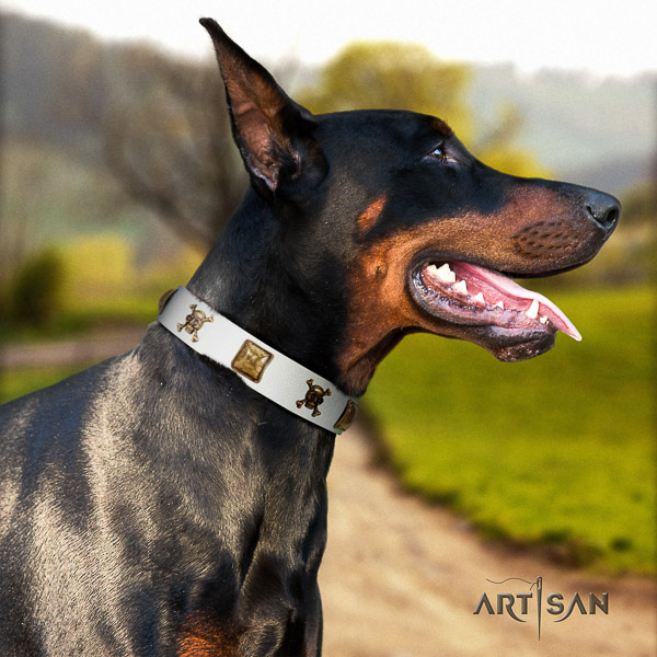 Doberman daily walking full grain leather collar with embellishments for your pet