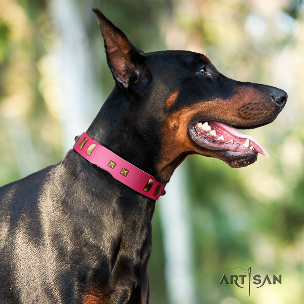 Doberman everyday walking full grain genuine leather collar with embellishments for your dog