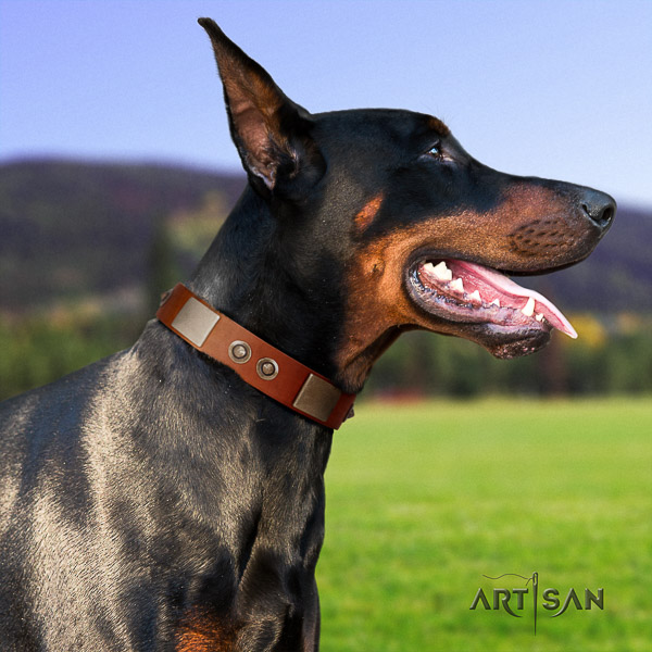 Doberman stylish walking leather collar with embellishments for your doggie