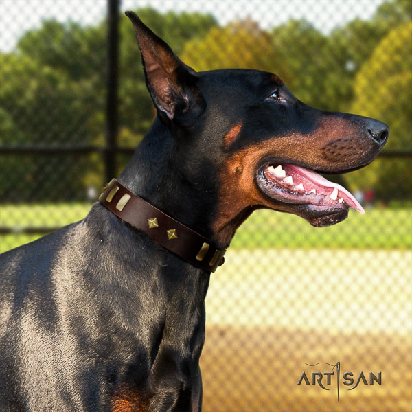Doberman everyday use leather collar with adornments for your canine