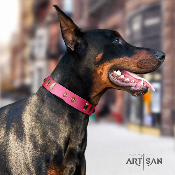 Doberman daily use natural leather collar with studs for your dog