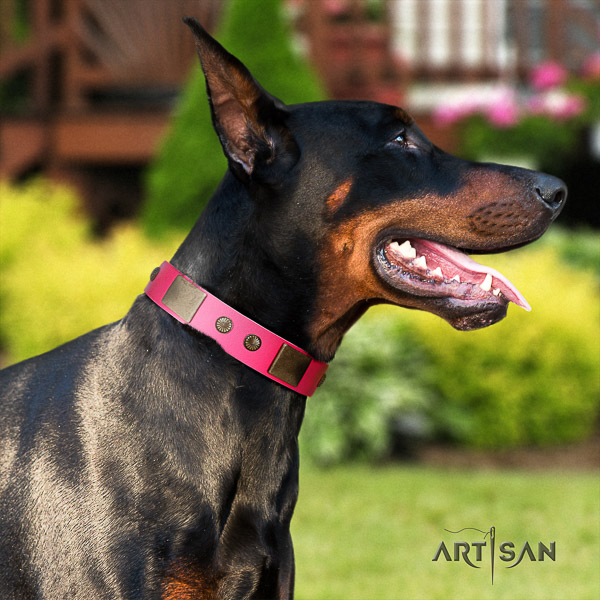Doberman walking natural leather collar with studs for your four-legged friend