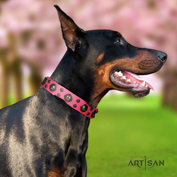 Doberman leather dog collar with adornments for your lovely doggie