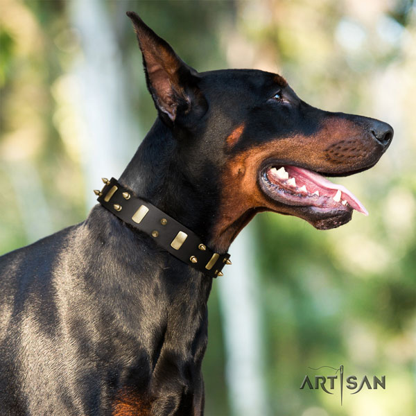 Doberman natural genuine leather dog collar with embellishments for your impressive dog