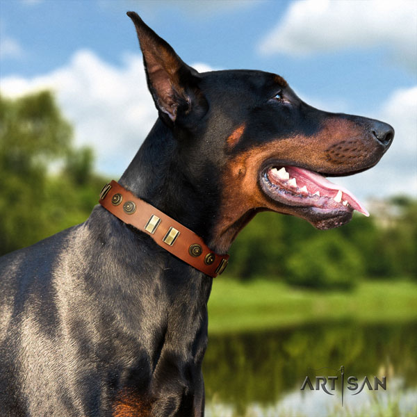 Doberman handmade natural genuine leather collar with studs for your dog