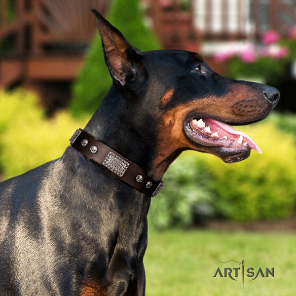 Doberman unique natural genuine leather collar with embellishments for your canine