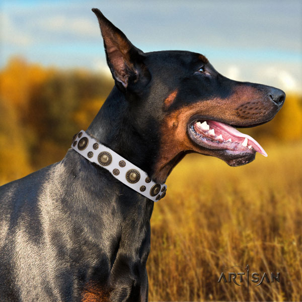 Doberman full grain leather dog collar with embellishments for your attractive dog