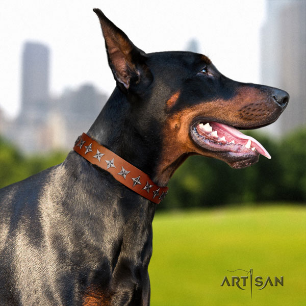 Doberman incredible full grain leather collar with embellishments for your dog