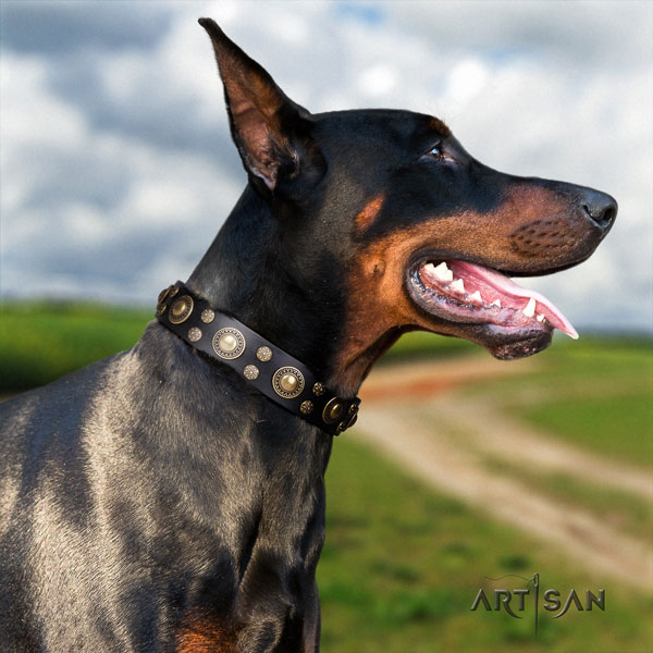 Doberman genuine leather dog collar with decorations for your handsome dog