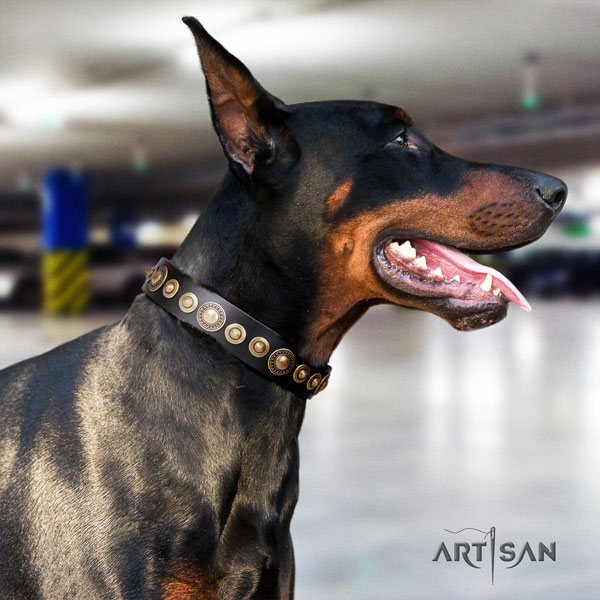 Doberman full grain genuine leather dog collar with studs for your lovely canine