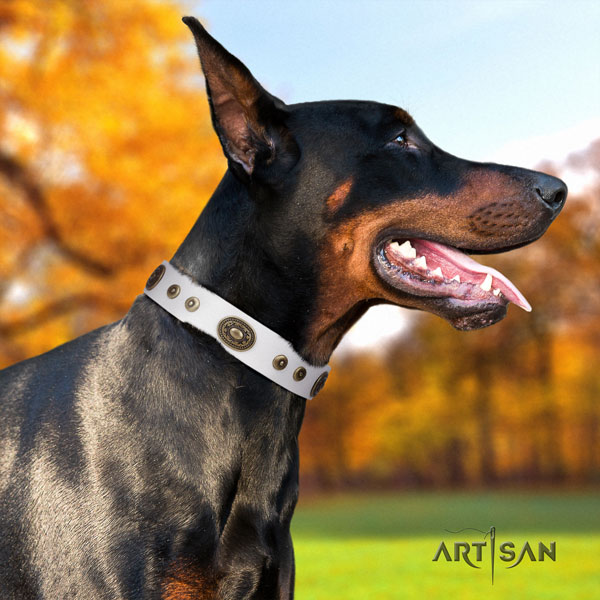 Doberman full grain natural leather dog collar with adornments for your beautiful dog