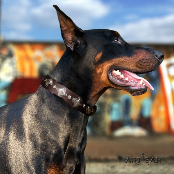 Doberman full grain genuine leather dog collar with decorations for your handsome doggie