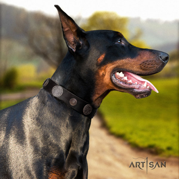 Doberman natural genuine leather dog collar with embellishments for your lovely dog