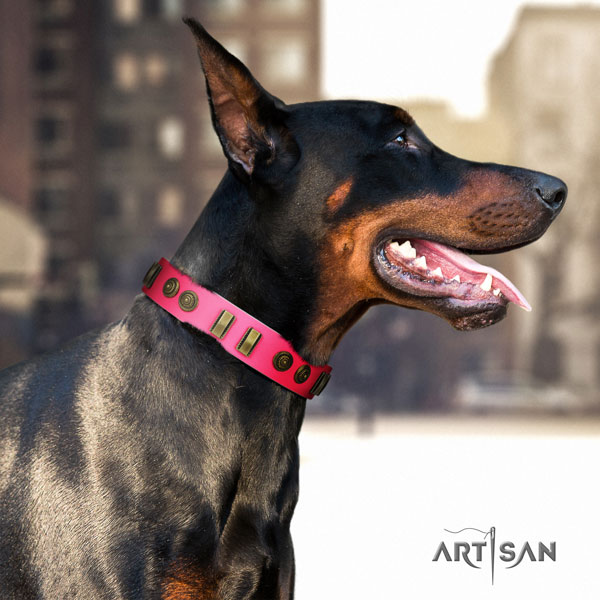Doberman unusual leather collar with studs for your doggie