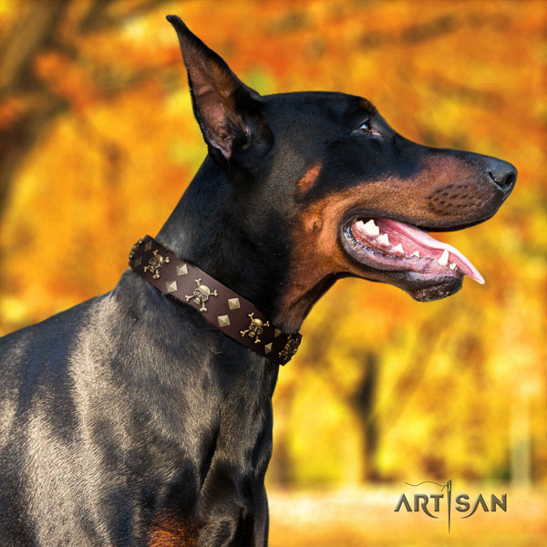 Doberman full grain leather dog collar with decorations for your stylish dog