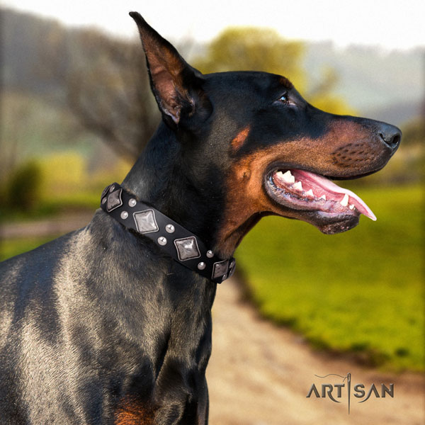 Doberman full grain genuine leather dog collar with adornments for your lovely dog