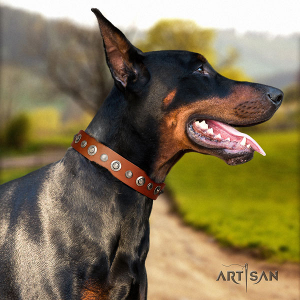 Doberman stylish full grain natural leather collar with embellishments for your canine