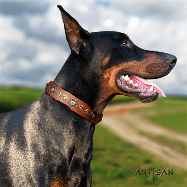 Doberman full grain natural leather dog collar with adornments for your stylish pet