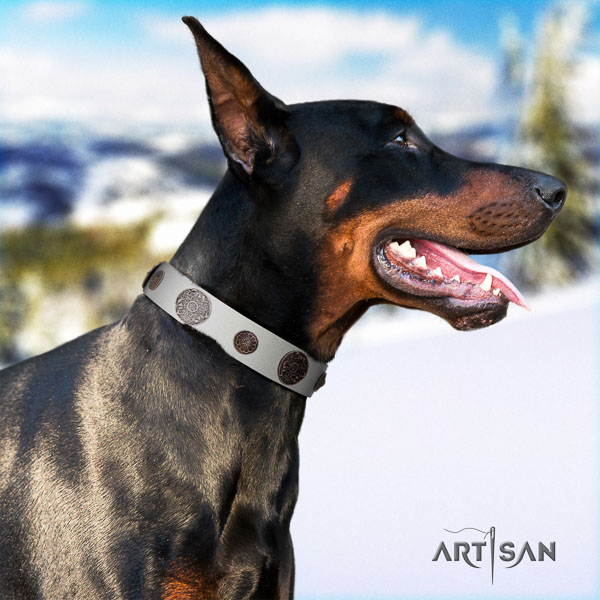 Doberman full grain natural leather dog collar with studs for your handsome canine