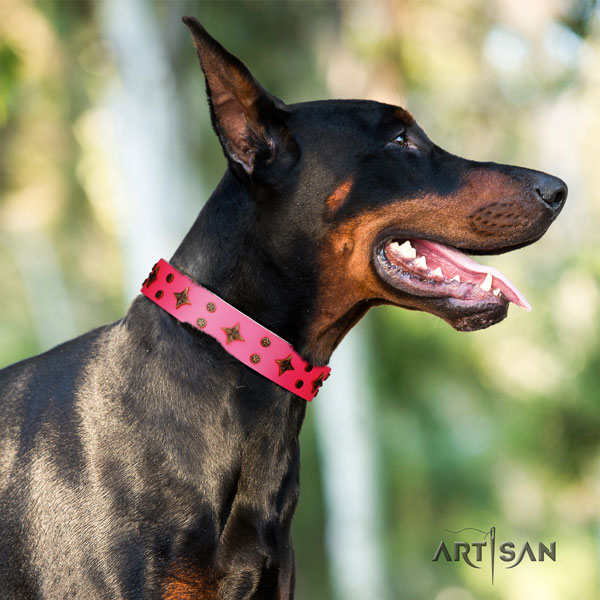 Doberman genuine leather dog collar with adornments for your handsome four-legged friend