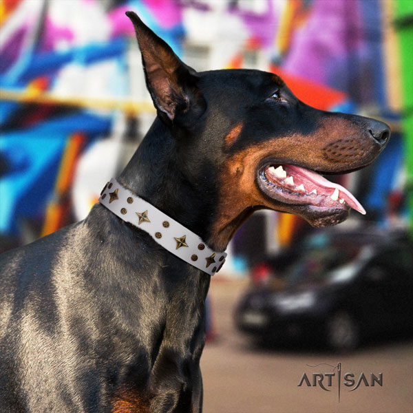 Doberman full grain leather dog collar with studs for your impressive dog