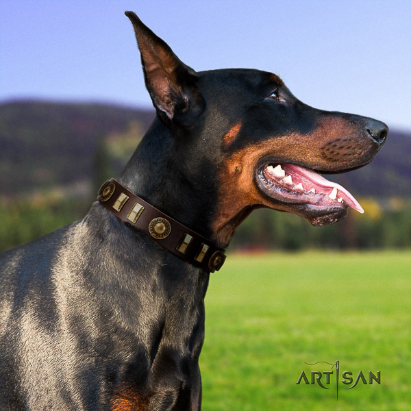 Doberman comfortable wearing full grain leather collar with studs for your four-legged friend