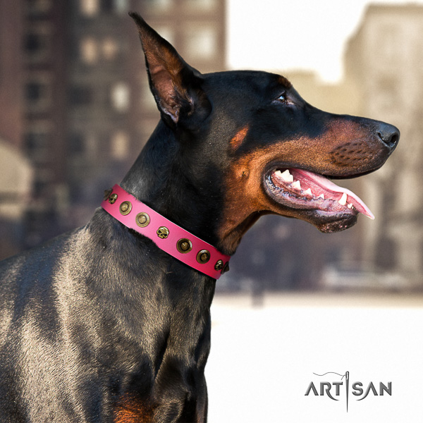 Doberman everyday use leather collar with embellishments for your canine