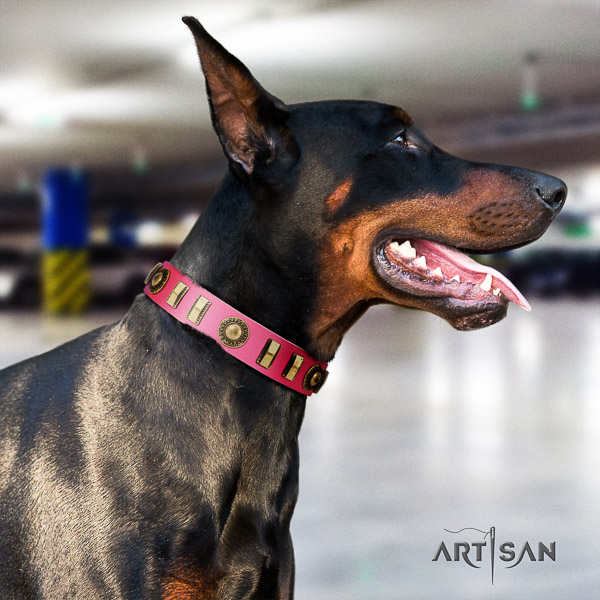 Doberman basic training genuine leather collar with decorations for your pet