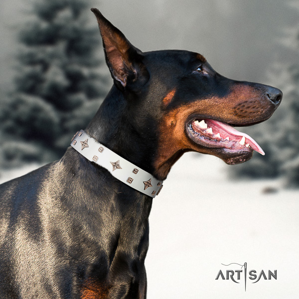 Doberman daily walking full grain leather collar with incredible adornments for your doggie