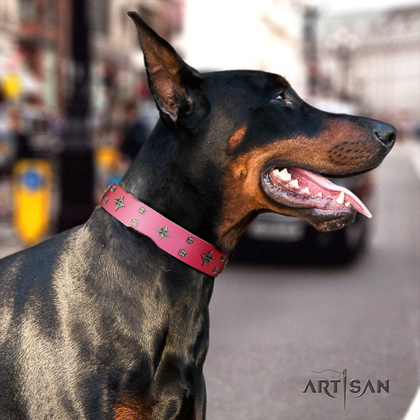 Doberman comfy wearing genuine leather collar with exquisite studs for your canine