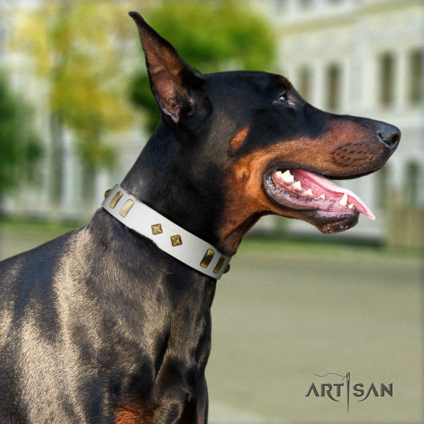 Doberman everyday use full grain natural leather collar with adornments for your dog