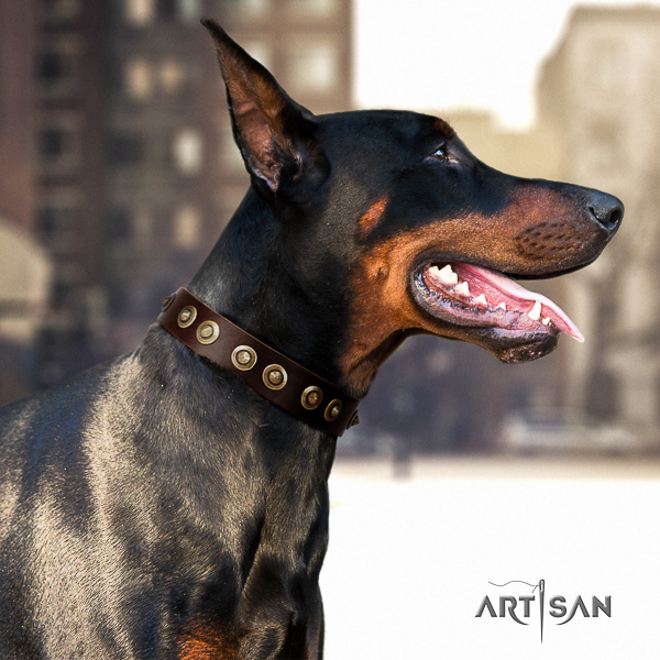 Doberman everyday walking genuine leather collar with embellishments for your canine