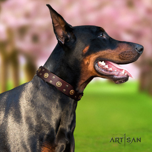 Doberman natural genuine leather dog collar with decorations for your handsome canine