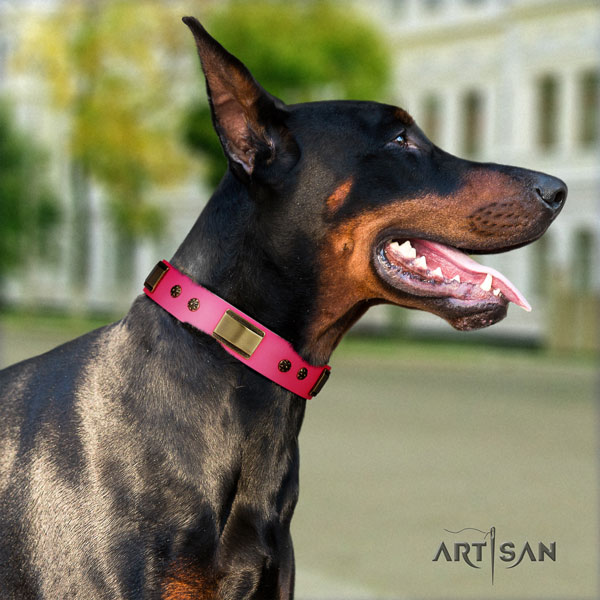 Doberman fine quality full grain natural leather collar with adornments for your dog