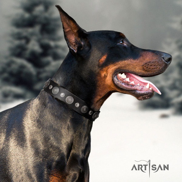 Doberman perfect fit natural genuine leather collar with embellishments for your dog