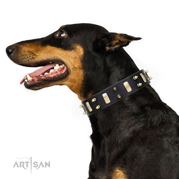 Doberman adorned leather dog collar for daily walking