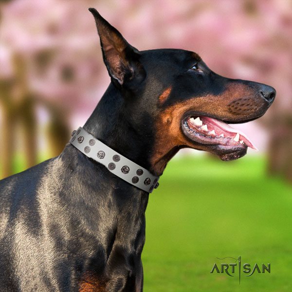 Doberman natural genuine leather dog collar with studs for your attractive pet