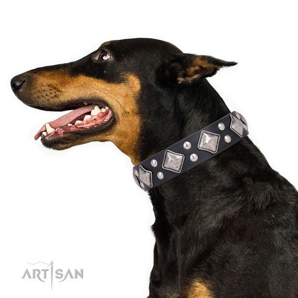 Doberman decorated full grain leather dog collar for comfy wearing