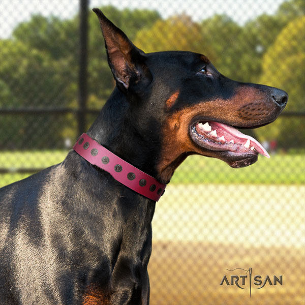 Doberman leather dog collar with decorations for your beautiful four-legged friend