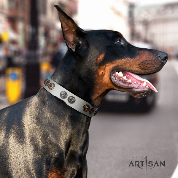 Doberman full grain leather dog collar with adornments for your attractive pet