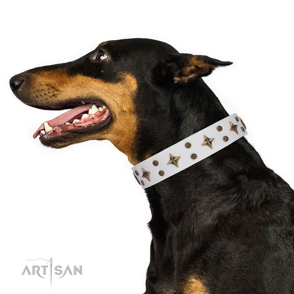 Doberman unique natural genuine leather dog collar for everyday walking