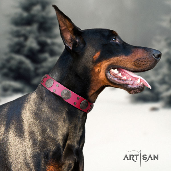 Doberman leather dog collar with embellishments for your beautiful pet