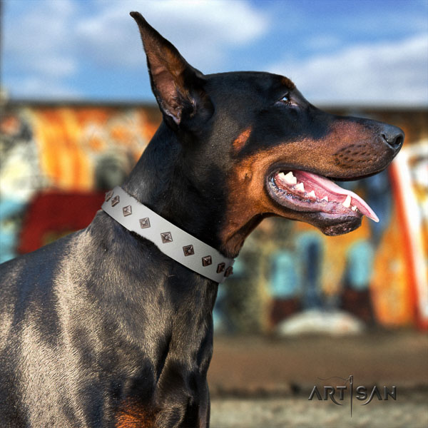 Doberman leather dog collar with embellishments for your impressive four-legged friend