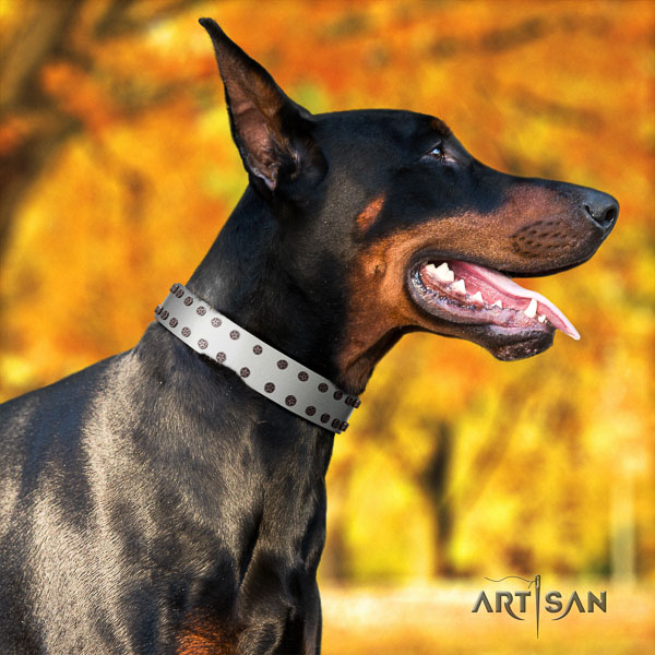 Doberman full grain natural leather dog collar with decorations for your beautiful four-legged friend