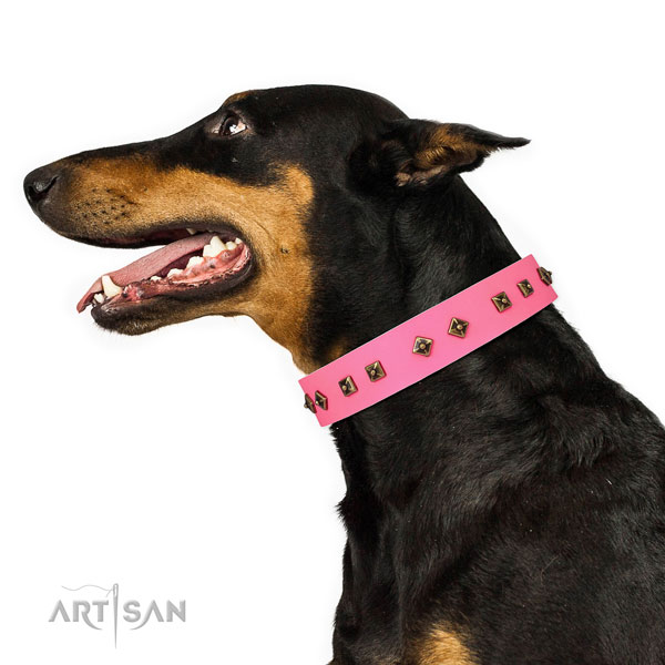 Doberman fashionable full grain leather dog collar for handy use
